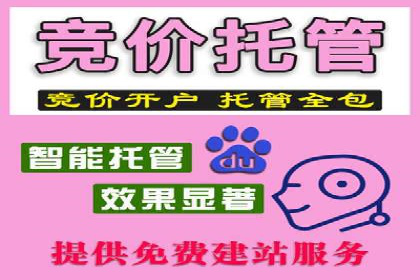 某某sem公司助力某电商企业实现业绩大增的秘诀